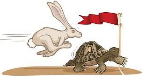 Kisah antara kelinci dan kura-kura - Prestasi Global 