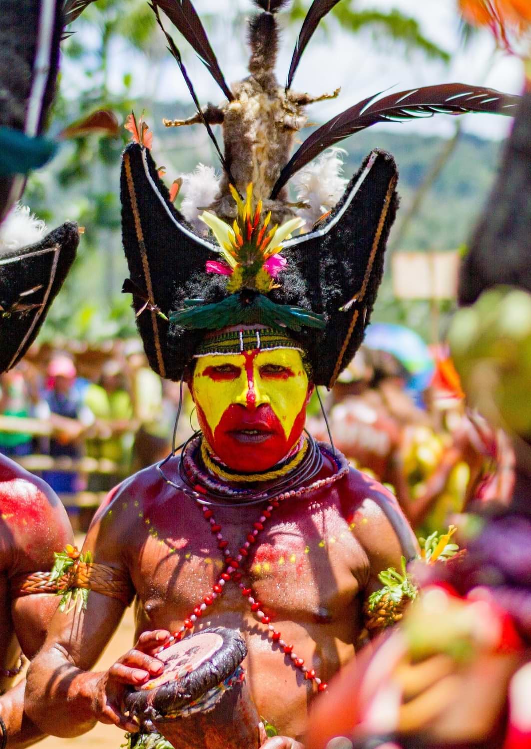 Ragam Fakta Menarik Tentang Pulau Papua - Sekolah Prestasi Global 