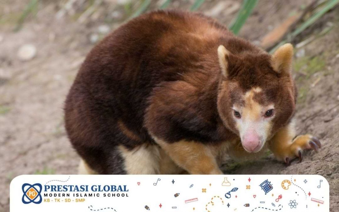 Mengenal 10 Hewan Endemik Indonesia yang terancam punah-Sekolah Prestasi Global